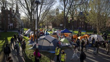 Estudiantes protestan contra la guerra en Gaza en el campus de la Universidad de Harvard, el 25 de abril de 2024, en Cambridge, Massachusetts. (AP Foto/Ben Curtis, Archivo)