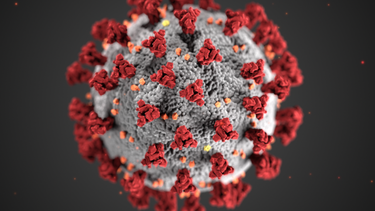 nuevas variantes del coronavirus causan preocupacion por ser mas contagiosas y propagarse con mas rapidez