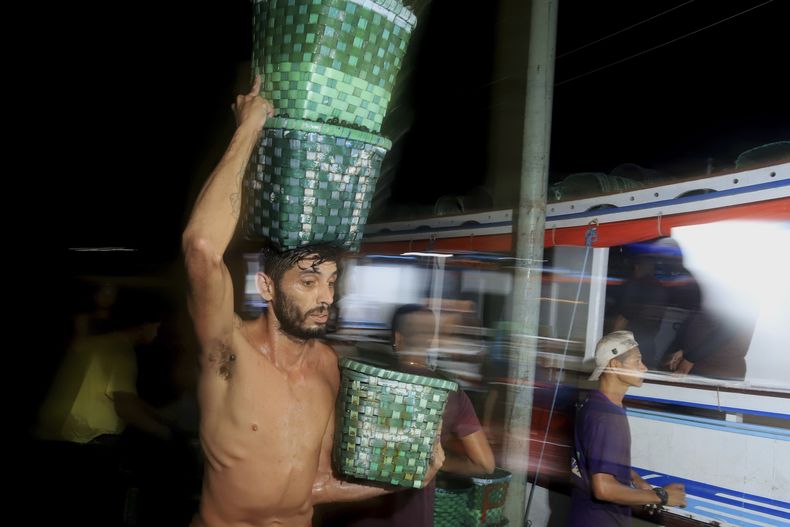 Kenedy Leao carga varias cestas con bayas de açaí para su venta en el mercado Ver-o-Peso, en Belém, Brasil, el 5 de agosto de 2025. (AP Foto/Paulo Santos)