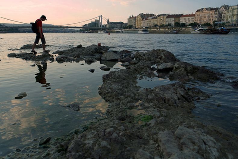 Un hombre camina sobre rocas que emergen del Danubio en el centro de Budapest, Hungría, el miércoles 5 de agosto de 2026, ya que el río —que atraviesa 10 países europeos— ha descendido a niveles de agua históricamente bajos. (AP Foto/Bela Szandelszky)