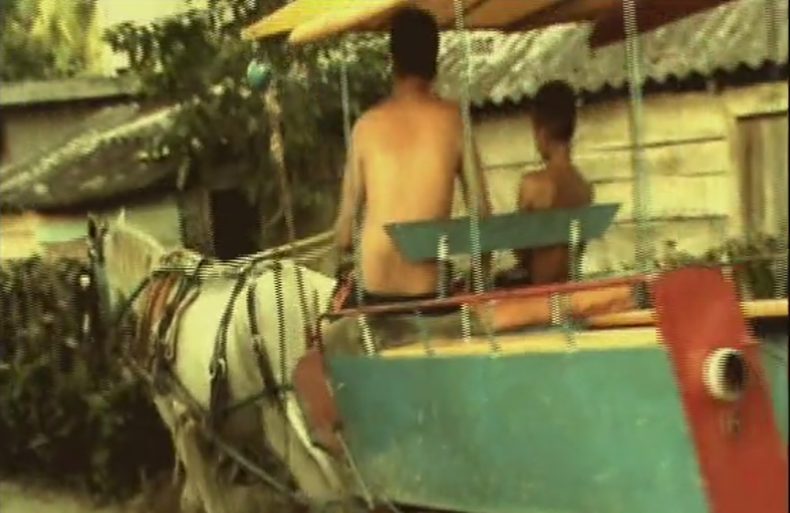Un documental de Diomnys Matos.