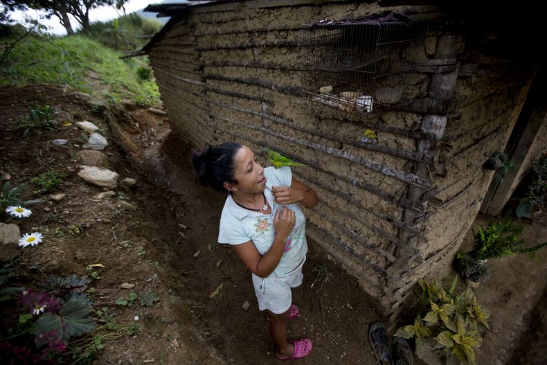 REP-GEN_VENEZUELA-CARDENALITO_RESCATE-0.jpg