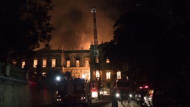 LO ÚLTIMO: Museo de Brasil recurrió a financiación colectiva