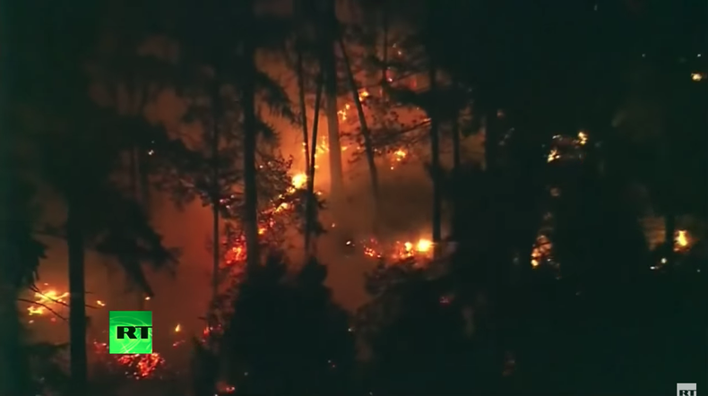 Screen Shot 2018-08-11 at 1.55.48 AM.png