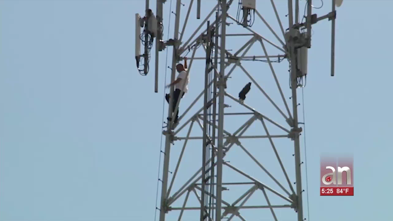 Screen Shot 2018-10-19 at 7.08.33 PM.png