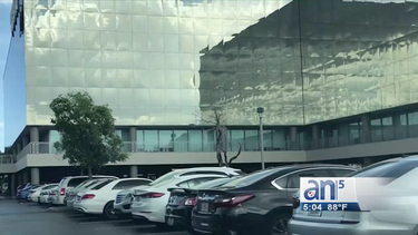 amenaza de bomba en el dora