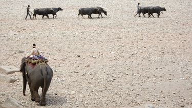 Este mayo fue el más caluroso de la historia