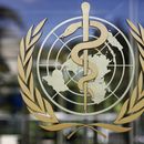 ARCHIVO - El logotipo de la Organización Mundial de la Salud visto en la sede de la OMS en Ginebra, Suiza, 11 de junio de 2019. (AP Foto/Anja Niedringhaus, Archivo)