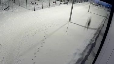 milagro en rusia: un nino sobrevivio a una caida desde el piso 12