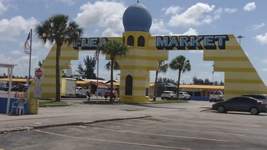 pulguero de opalocka tendra nueva sede