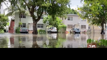 las lluvias de las ultimas 48 horas han convertido el sur de la florida en una suerte de venecia tropical