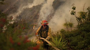 Un bombero prepara una manguera para combatir el incendio Palisades en Mandeville Canyon, el sábado 11 de enero de 2025, en Los Ángeles. (AP Foto/Eric Thayer)