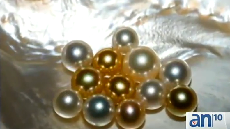 Las perlas se han puesto de moda entre muchos cubanos. Pero no precisamente para llevarlas en aretes ni collares.