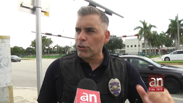 llamada falsa provoca una fuerte presencia policial en escuela secundaria de hollywood