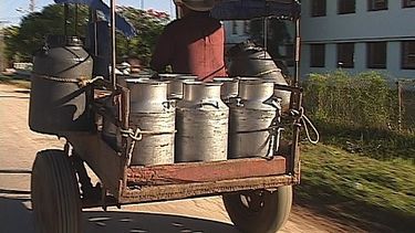 americateve | Porque la producción de leche está en manos del estado controlador. Si te agarran vendiendo leche te quitan hasta la vaca.