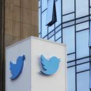 Estudio: Twitter fomenta propagación de noticias falsas