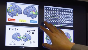 Estudian actividad cerebral leyendo Harry Potter