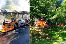 Imágenes Impactantes: ómnibus de la ruta P3 devorado por llamas en el reparto Alamar