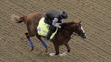 El hipismo en la mira, antes del Derby de Kentucky