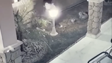 roban en la casa de la diosa de cuba y todo quedo captado en camara