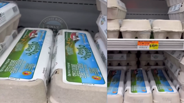 se dispara el precio de los huevos en eeuu: ¿que esta pasando?