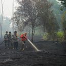 Bomberos rocían agua para apagar incendios en el bosque de Kubu Raya, Indonesia, el 12 de septiembre de 2026. (Foto AP/Archivo de Tatan Syuflana)