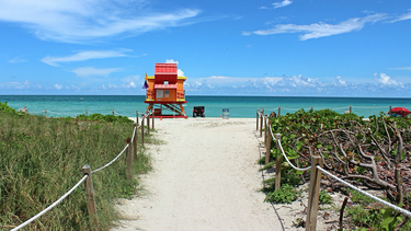 reabren playas de miami dade tras amenaza de marea roja