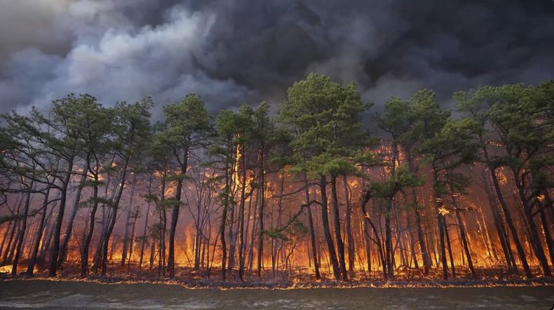El incendio cerca de Lacey Townships, Nueva Jersey el 22 de abril del 2025. (Departamento de Protección Ambiental de Nueva Jersey via AP)