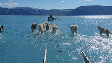 la imagen que dispara las maximas alertas por el cambio climatico en groenlandia