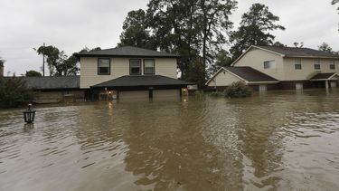 Harvey, indicio de futuras tormentas, según expertos