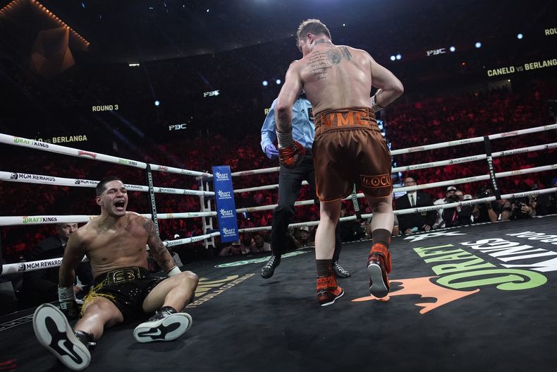 El mexicano Saúl Canelo Álvarez derriba al boricua Édgar Berlanga, en una pelea por el título de los supermedianos, el sábado 14 de septiembre de 2024 en Las Vegas (AP Foto/John Locher)