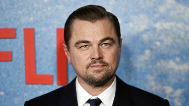 cine: leonardo dicaprio es homenajeado con una nueva especie de arbol con su nombre