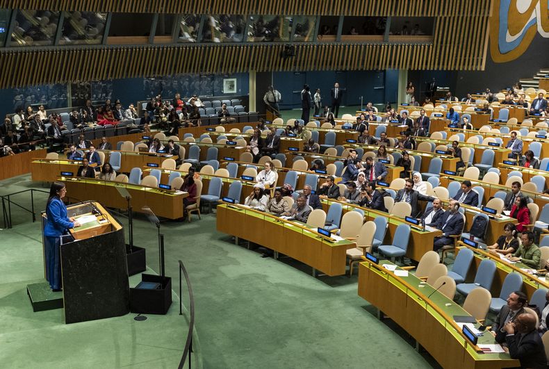 ONU-GEN_ASAMBLEA_GENERAL-0.jpg