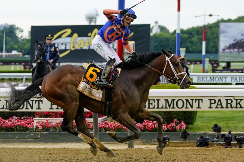 DEP-HIP BELMONT