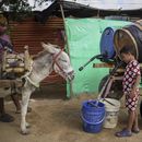 Un niño llena un cubo de agua transportada por mulas en el barrio La Voz que Clama, en las afueras de Maicao, Colombia, el miércoles 5 de febrero de 2025. (AP Foto/Ivan Valencia)