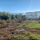 Bomberos atienden fuegos forestales en Ponce, Guayama, Peñuelas, Juana Díaz y Humacao