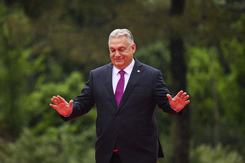 El primer ministro húngaro Viktor Orban en Tirana, Albania, el 16 de mayo del 2025. (Leon Neal/Pool via AP)