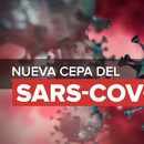 Confirman primer caso en EEUU de nueva variante del COVID-19