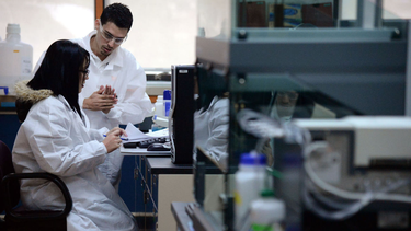 a paso lento las autopsias