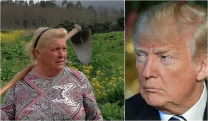 Donald Trump Dolores.jpg