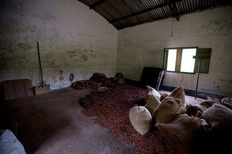 REP-GEN_VENEZUELA-CHOCOLATE-1.jpg