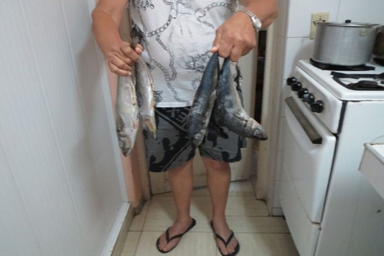 Cuota de jureles para una familia de cinco personas.