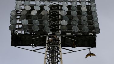 Crisis en Venezuela afecta también a fanáticos del béisbol