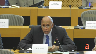 coco farinas denuncia en bruselas la situacion de los presos politicos cubanos