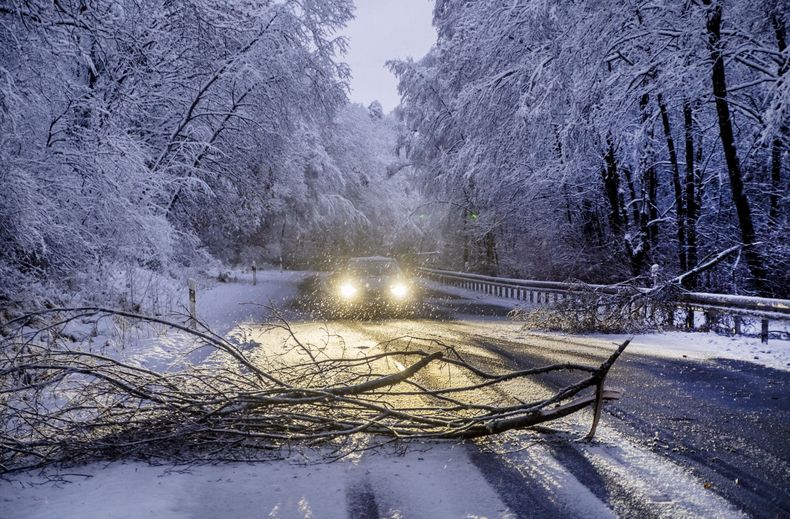 Árboles caídos bloquean una carretera de montaña en un bosque de la región de Taunis cerca de Fráncfort, Alemania, durante nevadas la madrugada del martes 28 de noviembre de 2023. (AP Foto/Michael Probst)