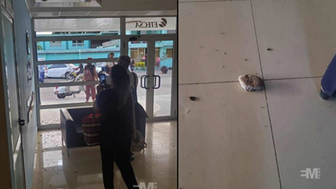 lanzan un pan contra la sede provincial de etecsa en granma y rompe los cristales de lo duro que estaba