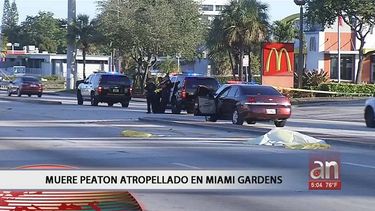 muere un peaton atropellado por un automovil en miami gardens