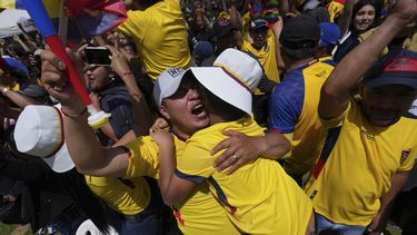 Alfaro deja de ser técnico de la selección de Ecuador