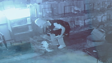 hombre roba palomas en conocida botanica el viejo lazaro