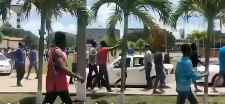 Screen Shot 2019-04-09 at 12.00.34 PM.png